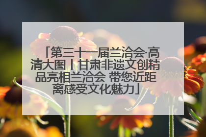 第三十一届兰洽会·高清大图丨甘肃非遗文创精品亮相兰洽会 带您近距离感受文化魅力