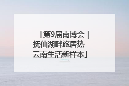 第9届南博会｜抚仙湖畔旅居热 云南生活新样本