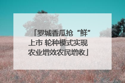 罗城香瓜抢“鲜”上市 轮种模式实现农业增效农民增收