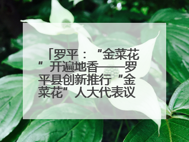 罗平：“金菜花”开遍地香——罗平县创新推行“金菜花”人大代表议事会履职行动