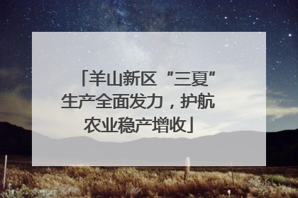 羊山新区“三夏”生产全面发力，护航农业稳产增收