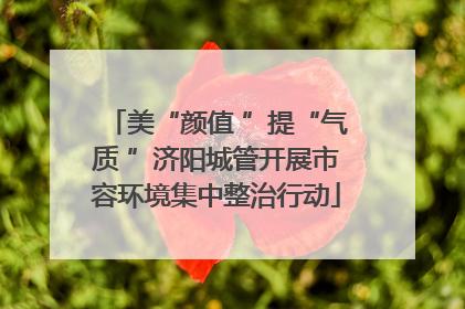 美“颜值 ”提“气质 ”济阳城管开展市容环境集中整治行动