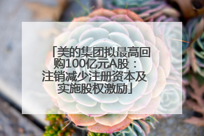 美的集团拟最高回购100亿元A股：注销减少注册资本及实施股权激励