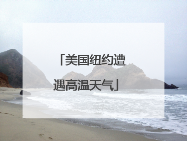 美国纽约遭遇高温天气