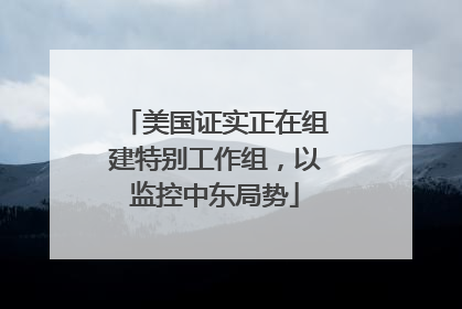 美国证实正在组建特别工作组，以监控中东局势