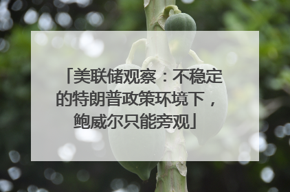 美联储观察：不稳定的特朗普政策环境下，鲍威尔只能旁观