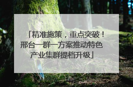 精准施策，重点突破！邢台一群一方案推动特色产业集群提档升级