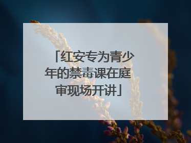 红安专为青少年的禁毒课在庭审现场开讲