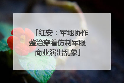 红安：军地协作整治穿着仿制军服商业演出乱象