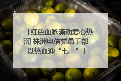 红色血脉涌动爱心热潮 株洲电信党员干部以热血迎“七一”