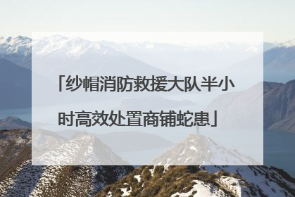 纱帽消防救援大队半小时高效处置商铺蛇患