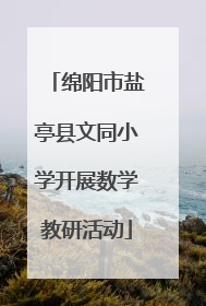 绵阳市盐亭县文同小学开展数学教研活动