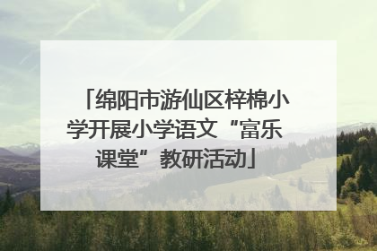 绵阳市游仙区梓棉小学开展小学语文“富乐课堂”教研活动