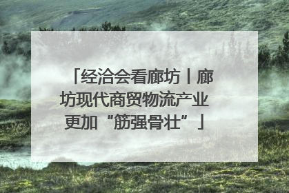 经洽会看廊坊丨廊坊现代商贸物流产业更加“筋强骨壮”