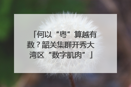 何以“粤”算越有数？韶关集群开秀大湾区“数字肌肉”