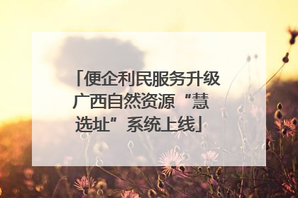 便企利民服务升级 广西自然资源“慧选址”系统上线