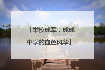 举校成军：成成中学的血色风华