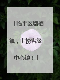 临平区塘栖镇，上榜省级中心镇！