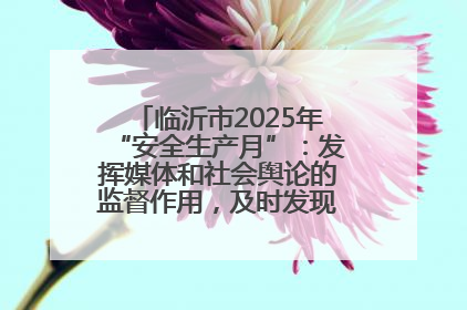 临沂市2025年“安全生产月”：发挥媒体和社会舆论的监督作用，及时发现并消除安全隐患