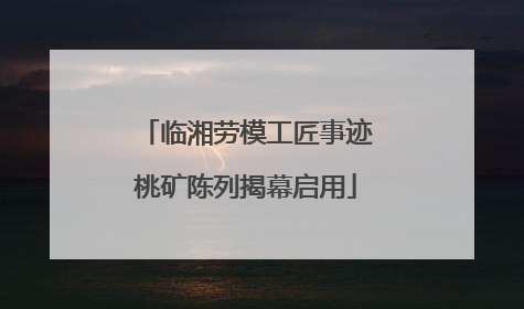 临湘劳模工匠事迹桃矿陈列揭幕启用