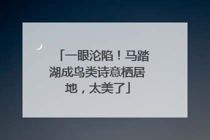 一眼沦陷！马踏湖成鸟类诗意栖居地，太美了