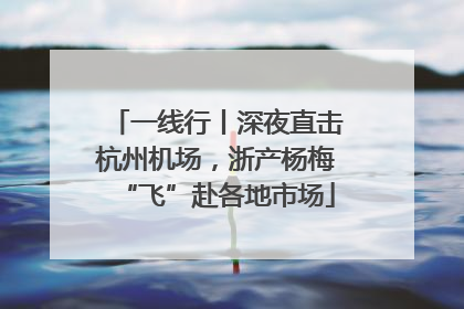 一线行丨深夜直击杭州机场，浙产杨梅“飞”赴各地市场