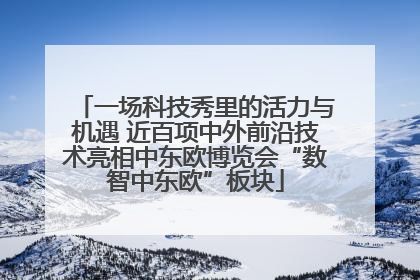 一场科技秀里的活力与机遇 近百项中外前沿技术亮相中东欧博览会“数智中东欧”板块