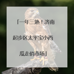一年三熟！济南起步区太平宝小西瓜走俏市场