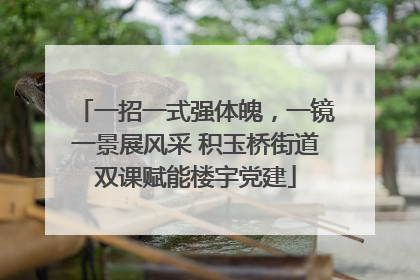 一招一式强体魄，一镜一景展风采 积玉桥街道双课赋能楼宇党建