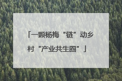 一颗杨梅“链”动乡村“产业共生圈”