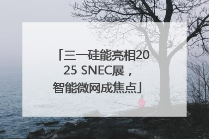 三一硅能亮相2025 SNEC展，智能微网成焦点