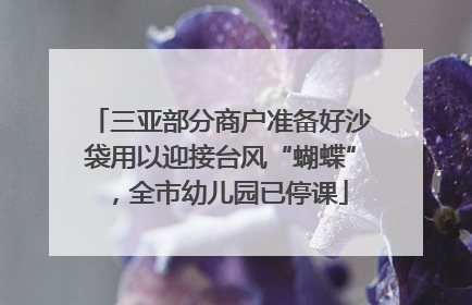 三亚部分商户准备好沙袋用以迎接台风“蝴蝶”，全市幼儿园已停课