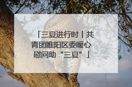 三夏进行时丨共青团睢阳区委暖心慰问助“三夏”