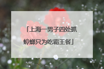 上海一男子四处抓蟑螂只为吃霸王餐