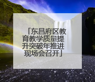 东昌府区教育教学质量提升突破年推进现场会召开