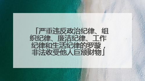 严重违反政治纪律、组织纪律、廉洁纪律、工作纪律和生活纪律的罗璇，非法收受他人巨额财物