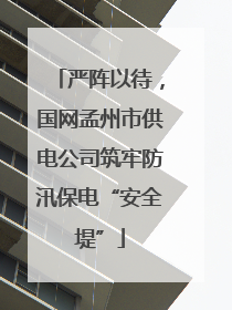 严阵以待，国网孟州市供电公司筑牢防汛保电“安全堤”