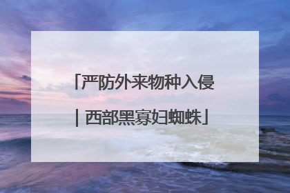 严防外来物种入侵｜西部黑寡妇蜘蛛