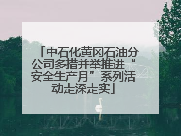 中石化黄冈石油分公司多措并举推进“安全生产月”系列活动走深走实