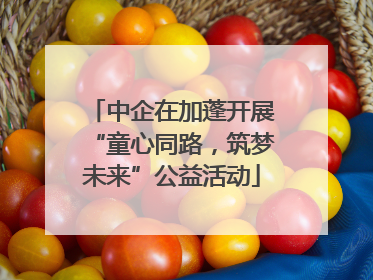 中企在加蓬开展“童心同路，筑梦未来”公益活动