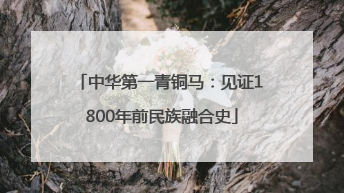 中华第一青铜马：见证1800年前民族融合史