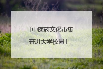 中医药文化市集开进大学校园