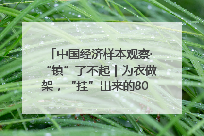 中国经济样本观察·“镇”了不起｜为衣做架，“挂”出来的80亿元“衣架产业”