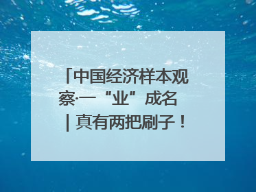 中国经济样本观察·一“业”成名｜真有两把刷子！“刷”出30亿级“颜值经济”