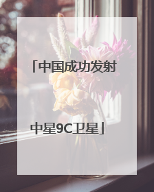 中国成功发射中星9C卫星