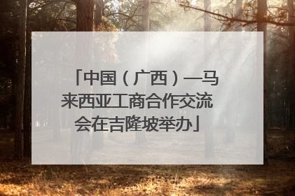 中国（广西）—马来西亚工商合作交流会在吉隆坡举办