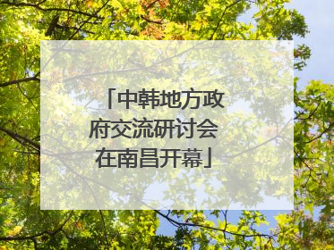 中韩地方政府交流研讨会在南昌开幕