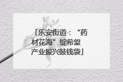 乐安街道：“药材花海”绽希望 产业振兴鼓钱袋