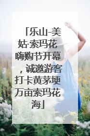 乐山-美姑·索玛花嗨购节开幕，诚邀游客打卡黄茅埂万亩索玛花海