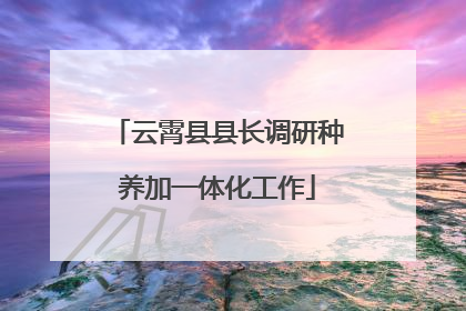 云霄县县长调研种养加一体化工作